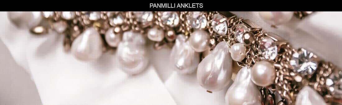 Panmilli slide 8
